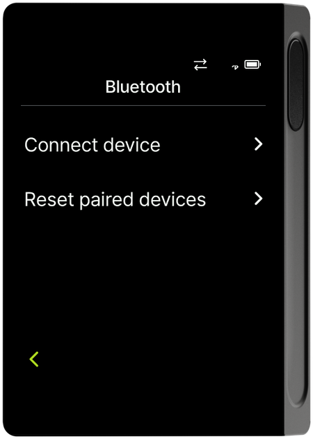 Bluetooth menu - Connect device and Reset paired devices
