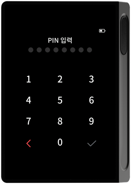 PIN 입력 화면