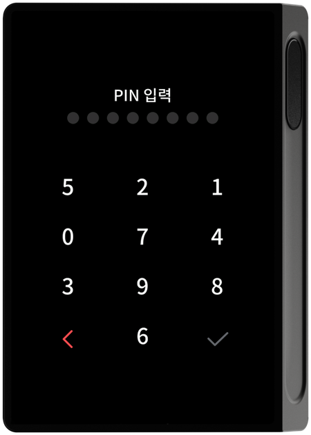 PIN 입력 화면